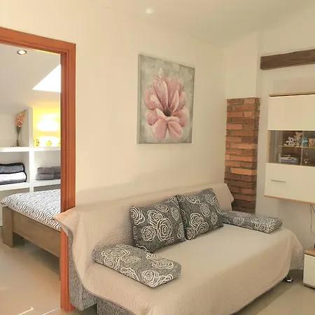 Apartment Ascic Opatija